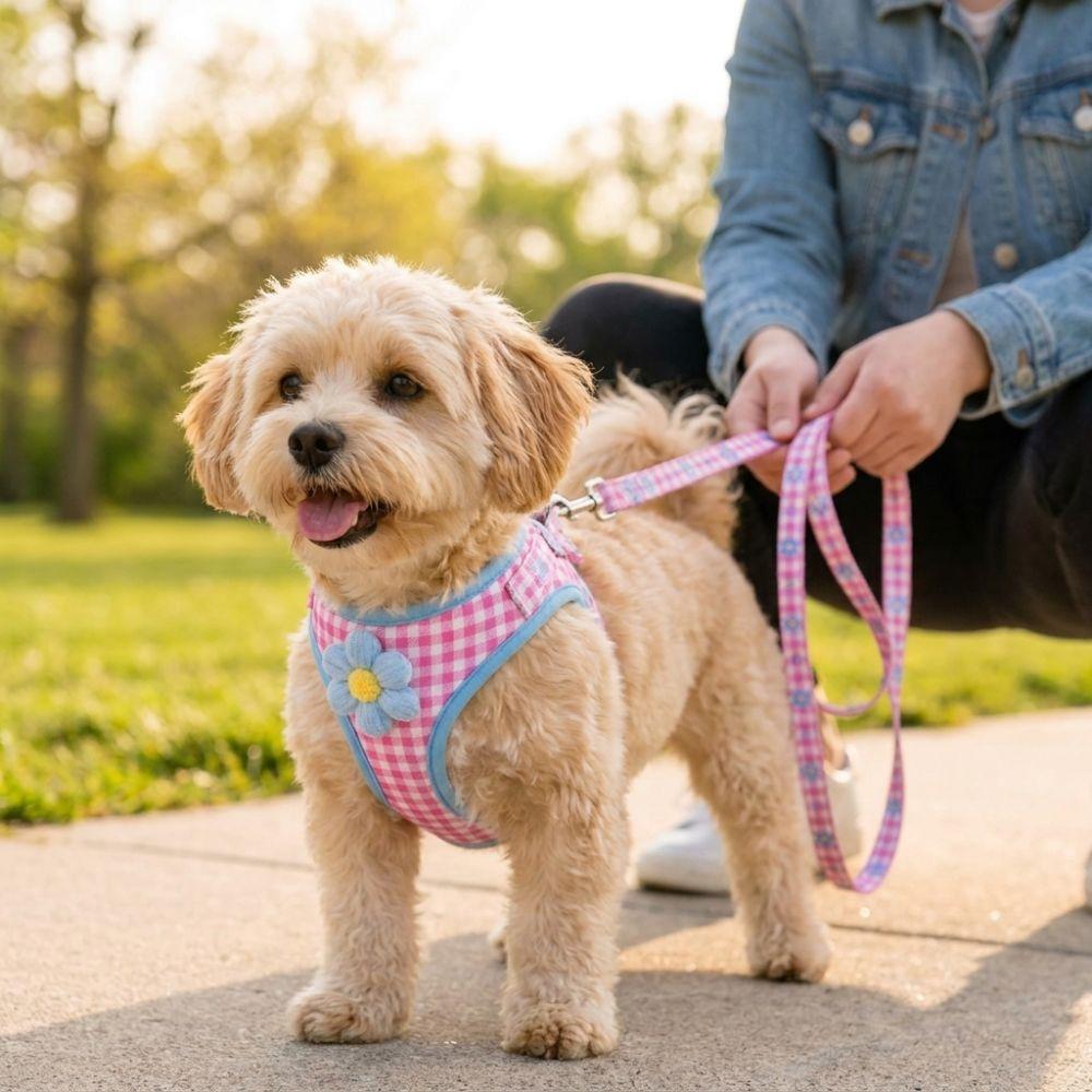 Breathable Dog Harness Leash Set Vest Type Dog Chest Strap Cat Traction Rope Puppies Kittens