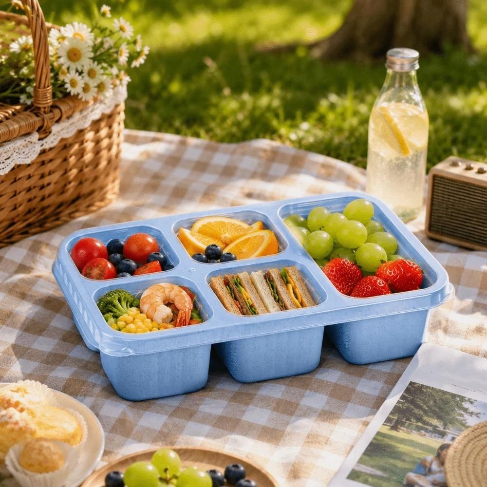 Plastic Fruits Box Transparent Lid Food Storage Box Fresh-keeping Lunch Box Students