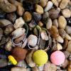 10x рыболовных крючков для ловли карпа с прямым острием и покрытием PTFE, микро-крючки из высокоуглеродистой стали, рыболовные снасти