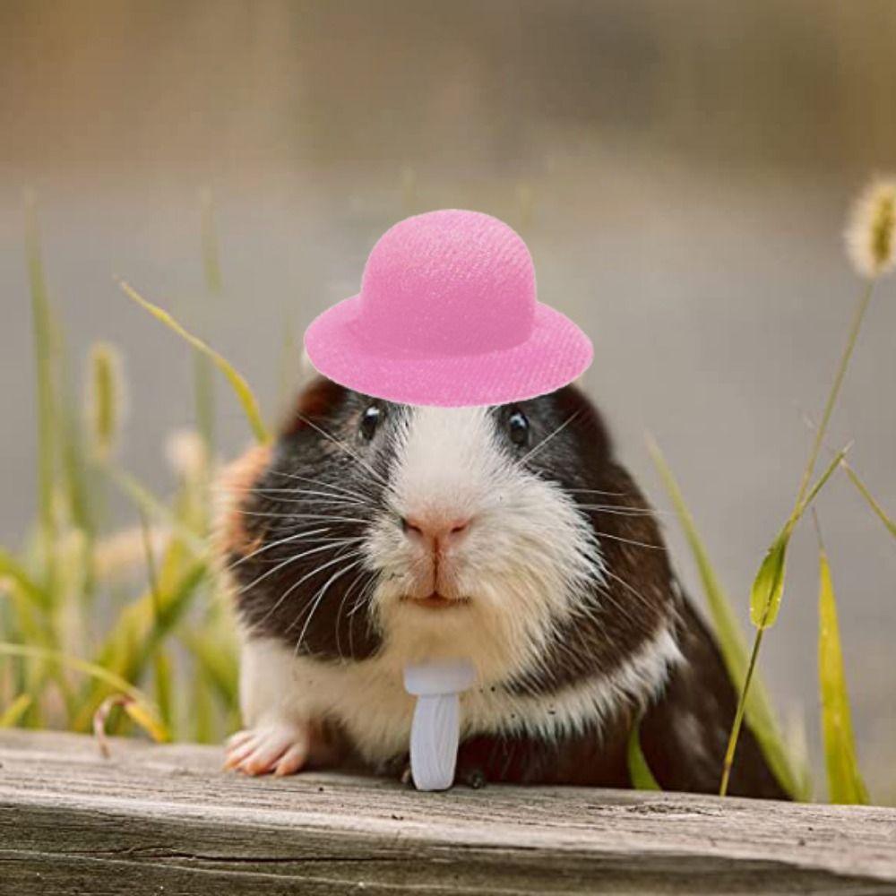 2023 Милая декоративная шапка с ремешком для лягушки, кролика, эластичная шапка для хомяка, шлем для кур, шапка для птиц, шапка для цыпленка