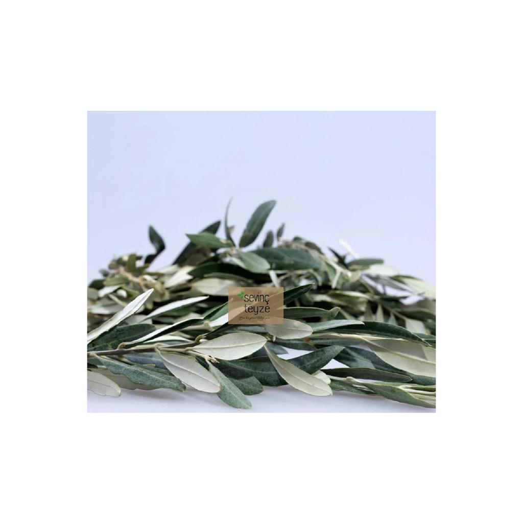 Sevin Teyze Olive Leaf, Olive Leaves, Oleae Folium, Oleaceae, Immortal Tree Leaf 50g