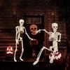 40cm Halloween Skeleton Plastic Model - Spooky Skull Decor for Haunted House & Yard Displays, Creepy Prop for Halloween Night