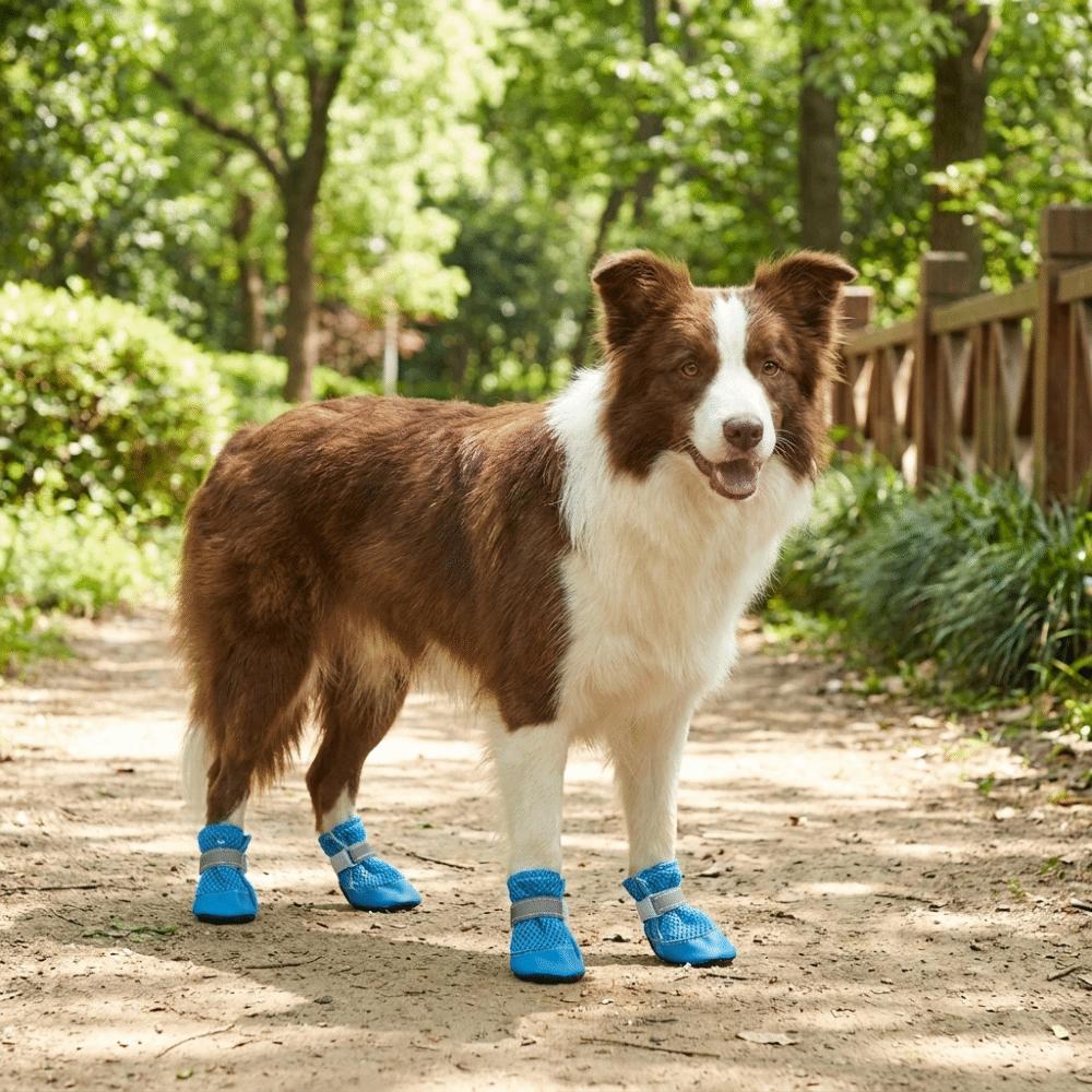 4PCS/SET Non-Slip Pet Mesh Shoes Wear-Resistant Pet Paw Protector Pet Footwear Outdoor Use