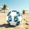 Lionel Messi Size 5 Soccer Ball, Machine-Stitched PVC, Durable & High Bounce, All Ages Fit, fan merchandise, matches & outdoor use.