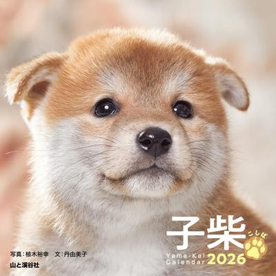 Календарь 2026 Косиба Календарь (Ежемесячный/Настольный/Кольцо/Сиба-ину) (Ямакей 2026)