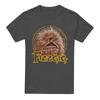 Dark Crystal Unisex Adult Fizzgig Heather T-Shirt