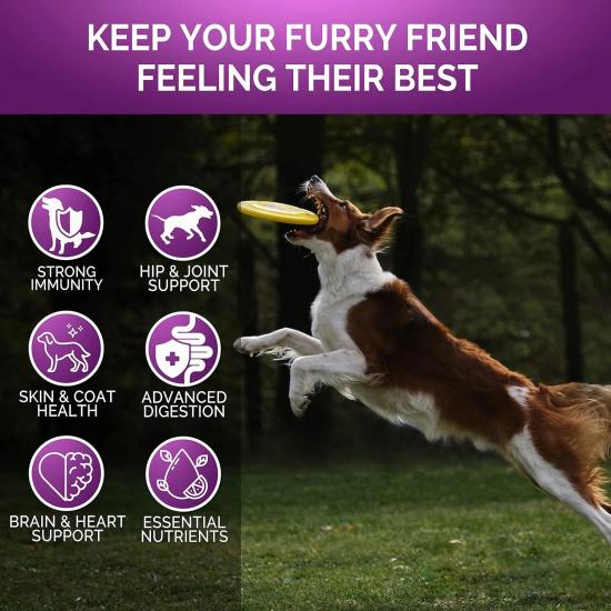 Senior & Puppy Dog Multivitamin Supplement Multi Vitamins Chicken Flavor Chews for Pet Joint Immunity Mobility Energy Gut Skin