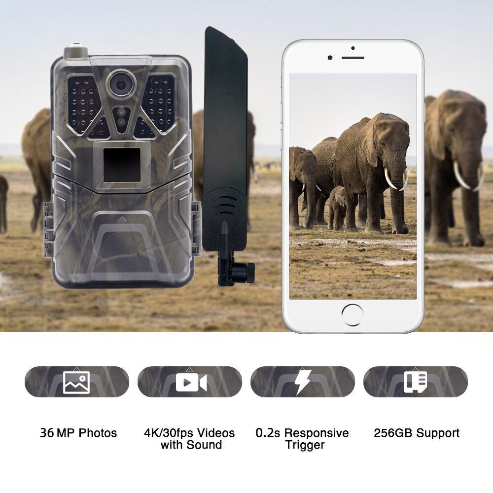 SUNTEKCAM HC-910Plus 4G Outdoor Hunting Camera, 2K Video, Waterproof IP65