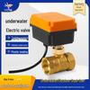 Mini Electric Ball Valve: Two-Way Threaded, Underwater & Waterproof, 220V/24V/12V