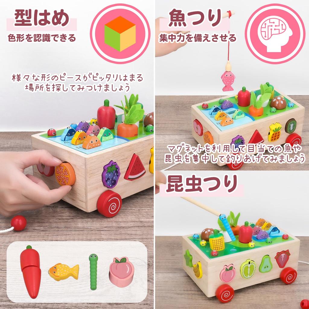 Montessori Educational Toy Wooden Mold Play Set Supervised by Wrapping Coordinator Colorful and Easy To Clean Up Uses Safe Materials Popoma [Boy