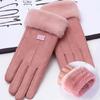 Женские перчатки осенью и зимой, ветрозащитные теплые плюс бархатные перчатки