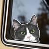 Set of 2 Black and White Curious Cat Car Stickers 5.5"x5.1" Cartoon Design Waterproof