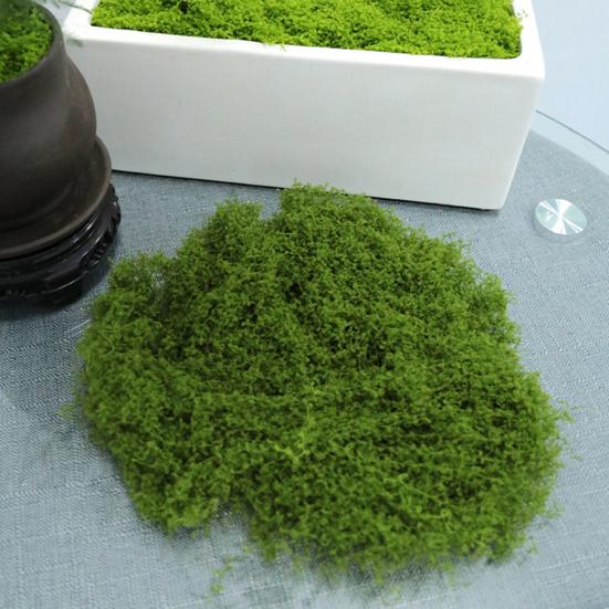 30/100 г Искусственный Зеленый Мох Поделки для DIY Комнатные Растения Сказочные Сады Центральные Элементы Стола Аквариумы Микроландшафт Декоративный Искусственный Мох