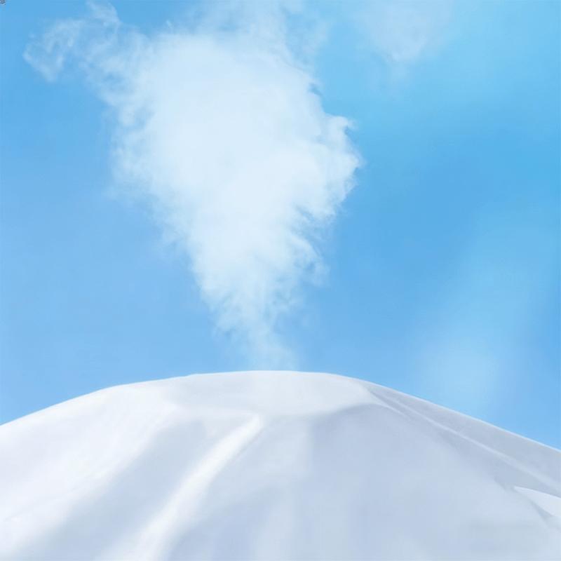 Disposable Bed Sheets Pillowcases Duvet Covers Non-Woven Bedding Set Dirty Proof Breathable Portable Travel Hotel Supplies