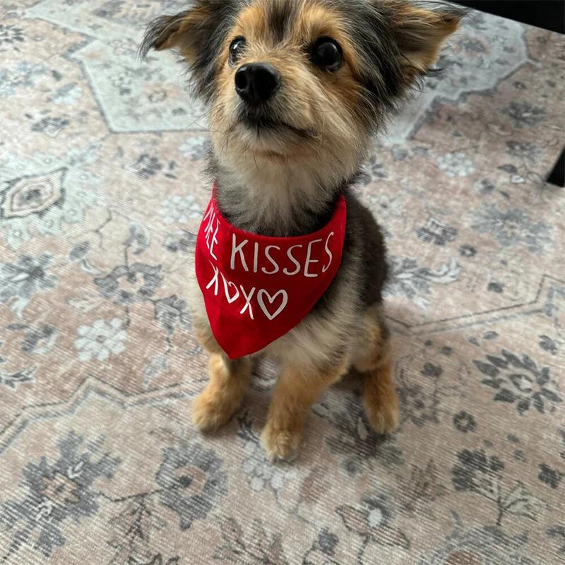 Free Kisses XOXO Pet Dog Boy Girl Red Bandana Scarf Happy Valentine's Day Decoration Dog Lover Mom Dad Gift Present Photo Props
