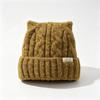 Thick Warm Acrylic Knitted Hat Cuffed Style Fall Winter Skull Cap Cat Ear Beanie Hat  For Women