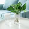 2 шт. Мини гидропонный цветочный горшок многоразовый прозрачный гидропонный кашпо настольные горшки для растений без почвы для украшения офиса и дома