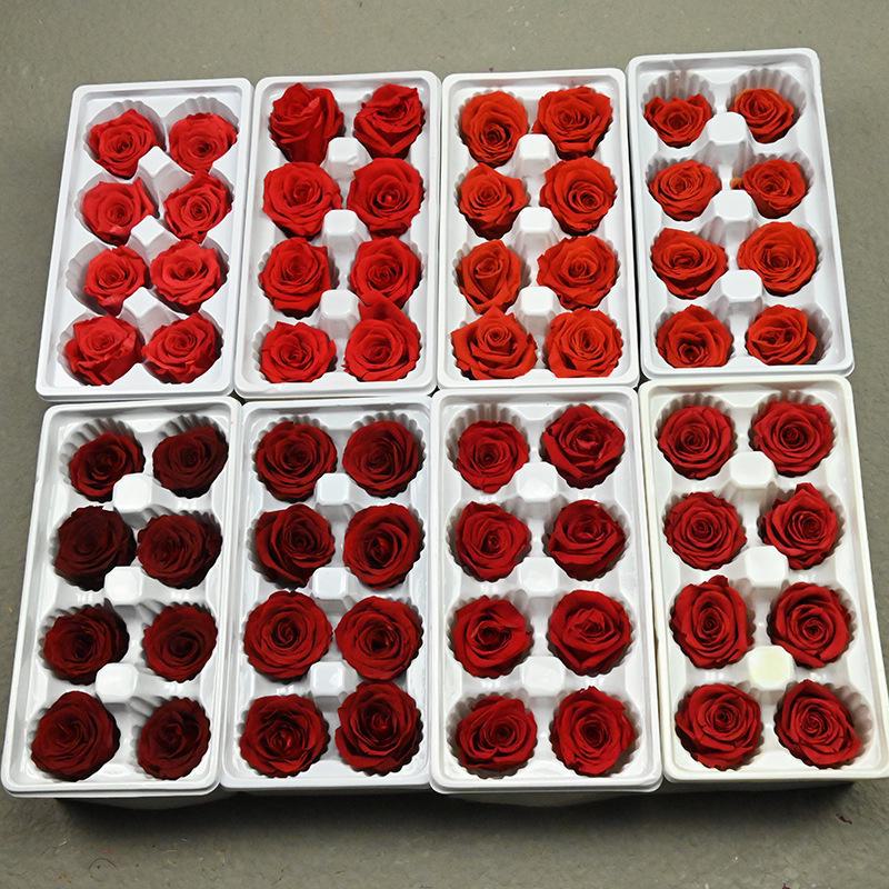 Набор для самостоятельного изготовления цветка «Фантазия»: Букет из роз класса C для Дня святого Валентина, Циси или празднования дня рождения.