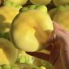 Hand Relax Slow Rising Toy Cream Yellow Soft Rebound Toys Pineapple Squishy Toy  Birthday Gift