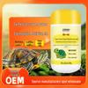 Turtle Electrolyte & Multivitamin Supplement 100g - Aquatic Turtle Essential Vitamins