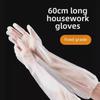 60cm Thickened CPE Arm Guard Gloves – Food-Grade, Waterproof, Oil-Proof, Extended Disposable Gloves for Dishwashing.
