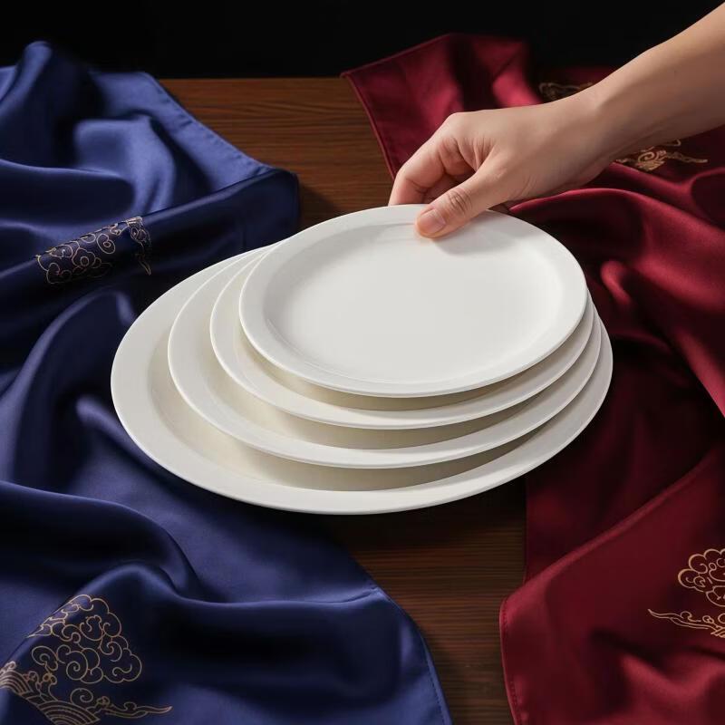 ZHISHI 10.25-inch Ceramic Flat Dinner Plates (4-Pack)