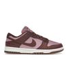 Nike Dunk Low Next Nature Dark Pony Elemental Pink Women Sneakers White Sail DD1873-114