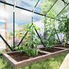 8 x 12ft Aluminium Greenhouse Polycarbonate Walk-in Garden Greenhouse Kit with Adjustable Roof Vent, Double Sliding Door, Rain Gutter and Foundation
