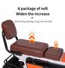 Electric Mobility Tricycle Scooter for Elderly and Pets - Customizable for Travel