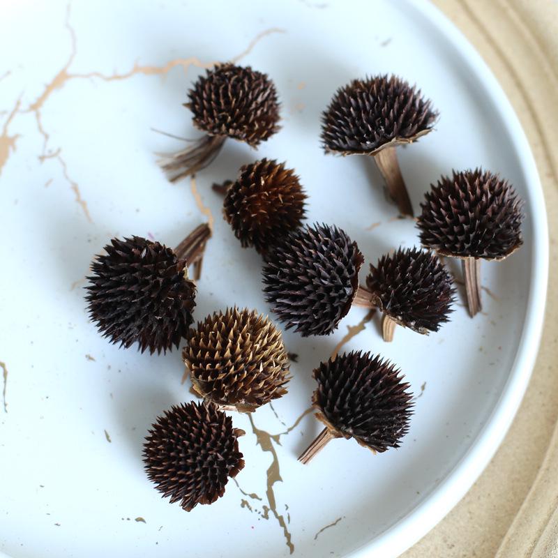 Dried Real Flowers & Materials: Pine Cones, Acorns, Cotton, Adhesives, Sunflowers - DIY Scented Floral Decor & Photography Props