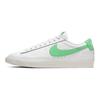 Nike Кроссовки Blazer Low 77 Green Spark Обувь для скейтборда CI6377-105