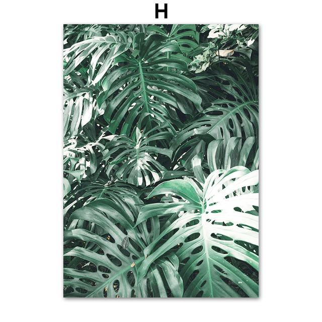Зеленые тропические растения сочные монстера настенная живопись на холсте плакаты на скандинавскую тему и принты настенные панно для декора гостиной