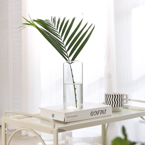 ComSaf Glass Vase, Transparent, Stylish, Scandinavian Design, Perfect for Living Rooms, Bedrooms, and Offices, Ideal for Hydroponics, Arranged Flowers