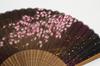 Hasegawa Silk Fan with Fan Pouch and Box Women's (Elegant)