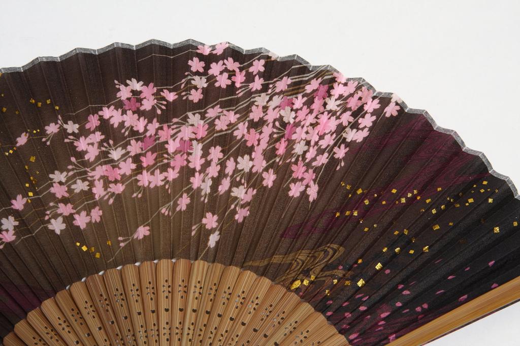 Hasegawa Silk Fan with Fan Pouch and Box Women's (Elegant)