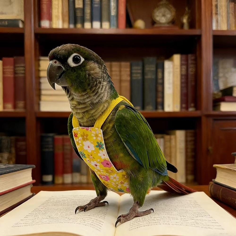 Escape Proof Bird Flight Suits Breathable Bird Flight Clothes Parrot Flying Harness Pet Walking