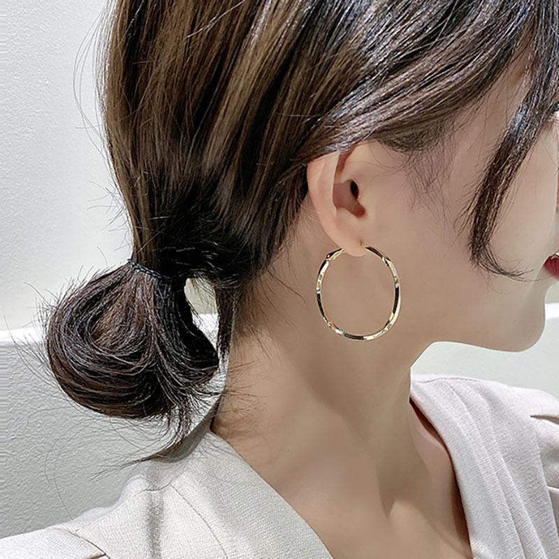 Simple and Versatile Circle Earrings, New Trendy Women's Niche Design, High-end Temperament, Light Luxury Accessories