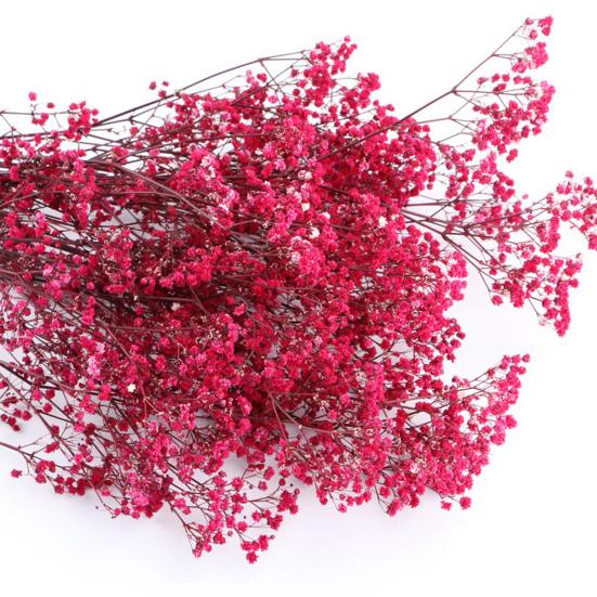 Букет из сухоцветов Yousheng Aeonium, яркие цвета, не выцветают, легко ухаживать, натуральная сушеная гипсофила, украшение ко Дню святого Валентина