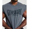 Gymshark Heritage Washed с коротким рукавом Crew Titanium Blue A4a8d Ucms