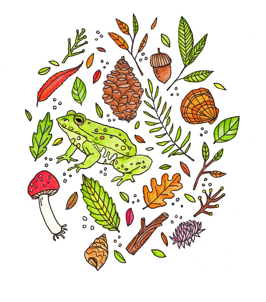 PENTEL Механический карандаш Arts 8 цветов, цветной зажим, 1 шт. PH158