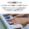 Arturia MicroLab MK3 Keyboard Controller, 25-Key, Velocity-Sensitive, High-Quality Slim Keyboard with USB-C Connection, White (MICROLAB MK3 WH)