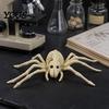 Прочный Хэллоуинский Декор Скелет Животного Скелет, Реалистичная Модель Рыбы Птицы Паука Змеи Кошки Многоразовый Череп для Вечеринки, Дома с Привидениями, Сцены Кладбища