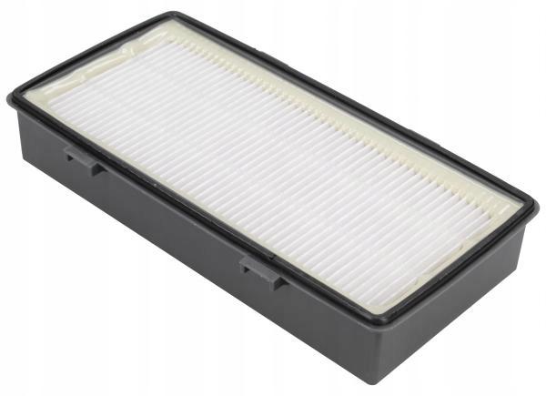 Filters for Rowenta Tefal X-Trem Power Cyclonic - 2 pcs