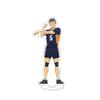 Anime Haikyuu!! Acrylic Desk Stand Figures Models Volleyball Teenagers Figures Plate Holder Cake Topper Cosplay Table