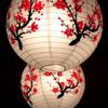 3Pcs Plum Blossom Design Paper Lanterns Cherry Paper Lanterns  Chinese New Year