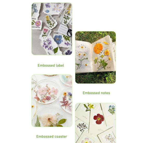 Набор для прессования цветов Embosser, простой в использовании набор для сбора цветов, поделки своими руками для мгновенного сохранения цветов