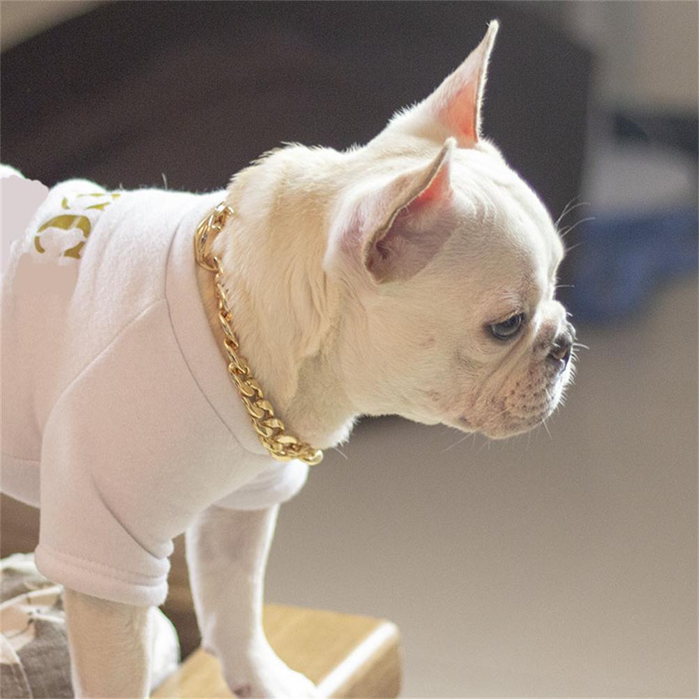 Цепочка для собак, ошейник из металла и золота, аксессуары для домашних животных на четыре сезона