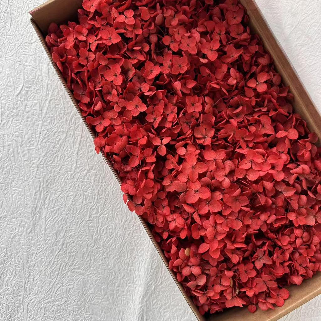 Eternal Hydrangea Dried Petals - Craft, Decor, Gift Accessory