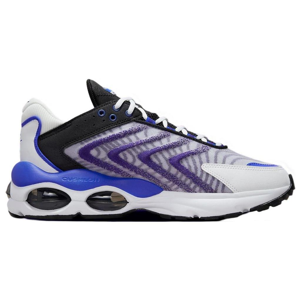 Nike Мужские кроссовки Air Max TW White Concord Racer-Blue Pure-Platinum DQ3984-105