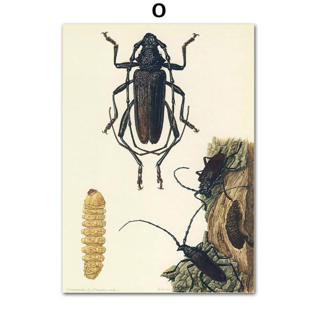 Винтажный постер с насекомыми-жуками, образец ретро-иллюстрации, настенная живопись на холсте, постеры и принты, картина для гостиной без рамки